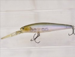Ghost minnow