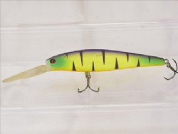 Mat tiger (Black striped)