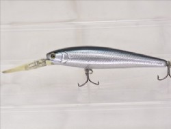Silver minnow