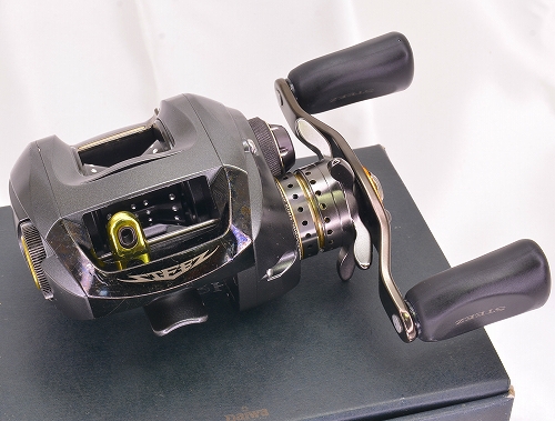 Daiwa steez