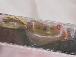Clear toad