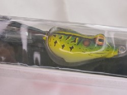 Green toad