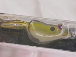 Sexy shad