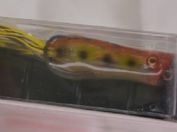 Clear toad