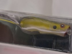 Sexy shad