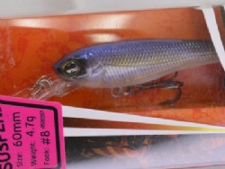 Ghost sexy shad