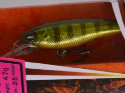 Blue gill