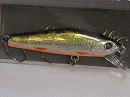 HG Tennessee shad (#195)