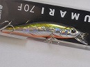 HG Tennessee shad (#195)