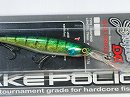 E2 HL Blue gill