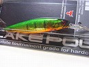 E2 HL Peacock