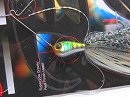 Blue gill -Tandem gold & black willow