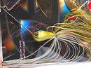 Kisyu ayu -Double gold willow