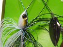 Black back shad (#118)-Double gold & silver willow