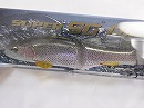 Rainbow trout (#297)