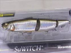 GG silver shiner