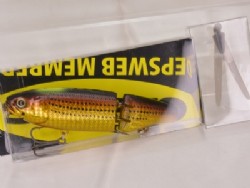 Gold lens mullet (2021 member limited color)