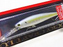 Chartreuse shad