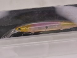 Translucent pearl shad