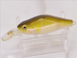 Clear ayu