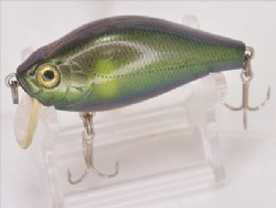 Mazyora ayu (2000 limited color)