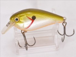 Tennessee shad