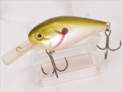 Tennessee shad