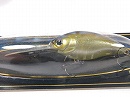 Ghost shad
