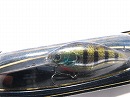 Metallic gill