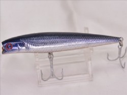 #03 (Saltwater model)