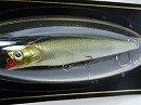 Ghost shad