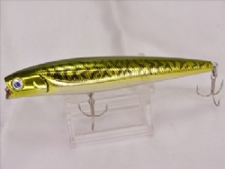 #02 (Saltwater model)