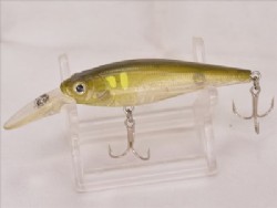 Clear ayu