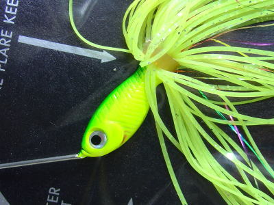 Blue back chart -Single gold willow