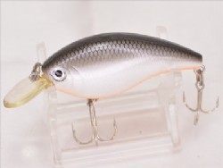 Tennessee shad