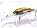 Chrome shad