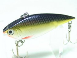 Tennessee shad