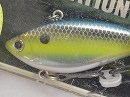 Yellow shad