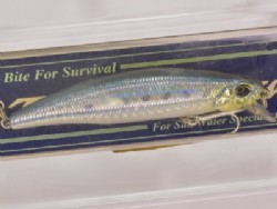 Scale maiwashi (#H-11)