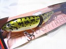 Bass (#608)