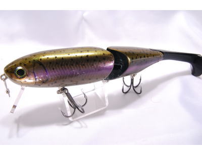 Dark rainbow trout
