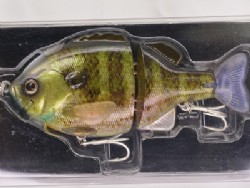 R Blue gill (#01)
