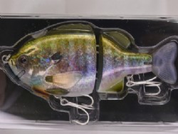 Flash baby gill (#02)