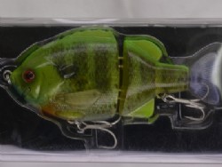 Lime back gill (#17)