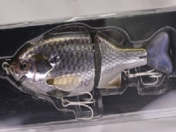 Asian fish