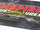 Baby bass (#122) -Package damaged