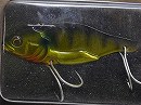 Blue gill (#MV-17)