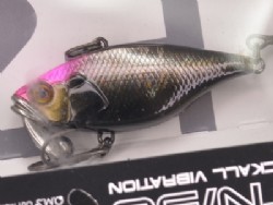 PH aurora black
