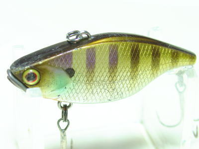 Blue gill