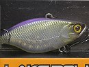 Purple shad